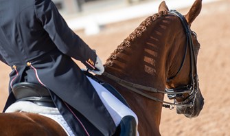 Dressage nominated entries for Tokyo 2020 Olympic Games announced