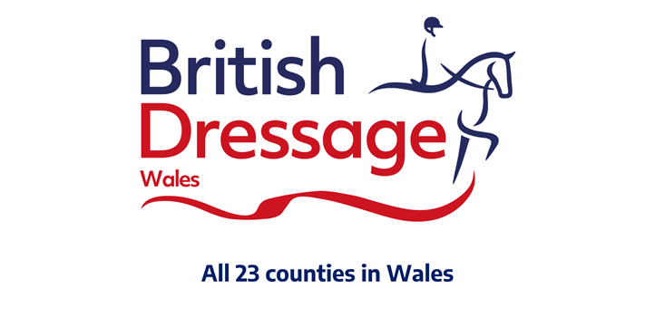 Wales Counties logo