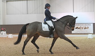 BD Winter Regionals: Addington Equestrian