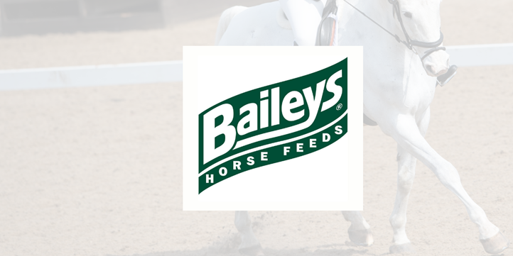 Winter Sponsor Page Baileys