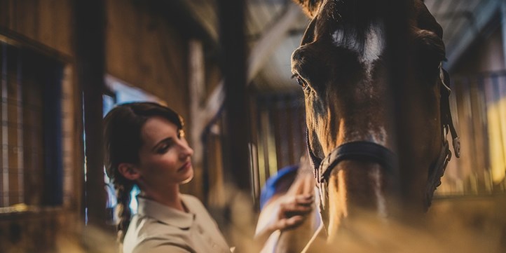 Equestrian Business And Proper Employment Ts And Cs Blog (1)
