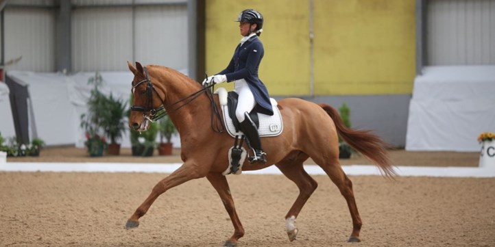 Megan Ingham And Wanadoo - extended trot