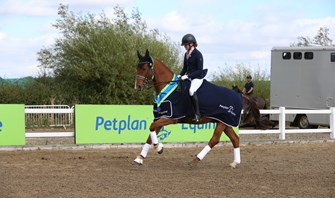 Petplan Equine Summer Area Festival Championships: day one