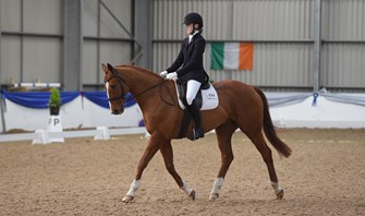 Competitors impress at Vale View’s Elite Equine Associated Championships