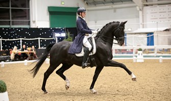 Deutrom lands four wins at Aintree High Profile Show