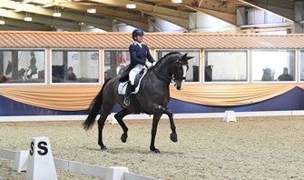 Keysoe High Profile Show: Andersen impresses with rising star and Bigwood wins Grand Prix double