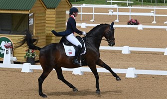 Wellington CDI: Youth riders at full tilt for selection finale