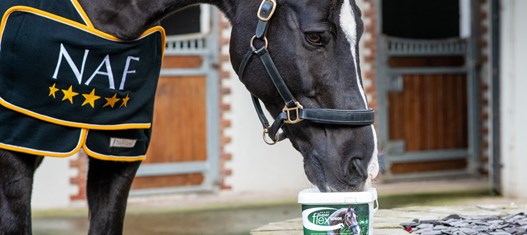 Valegro unveiled as the new face of NAF Five Star Superflex Senior