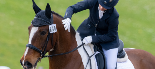 British Dressage Equine Welfare Review