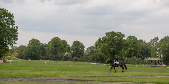 Horse being ridden in fields