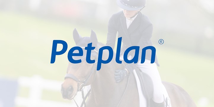 Petplan banner - bay horse