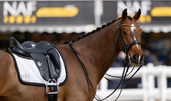 Why and when to use a double bridle?  